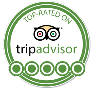 TripAdvisor